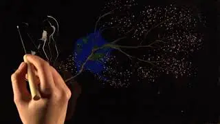 COLORI NELL&rsquo;ACQUA - Ebru Art per Swisscare