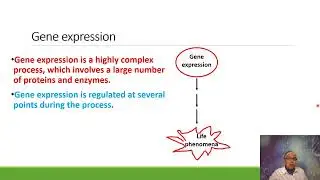 Introducing transcription