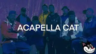 Wu Tang Clan - Da Mystery of Chessboxin' Acapella 105 BPM - 4K Acapella Cat