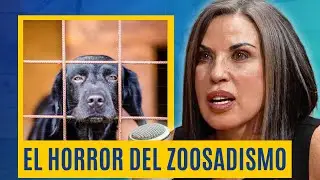 &iquest;Por Qu&eacute; Toleramos Peor el Maltrato ANIMAL que El HUMANO?