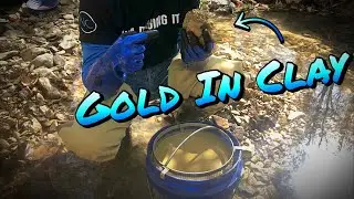 How much Gold is in Clay? And March Total Weigh-In!!