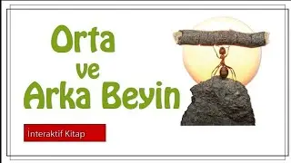 AYT Biyoloji /Orta ve Arka Beyin #sayfa 20