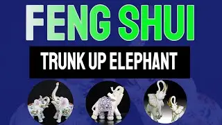 Feng Shui Elephant -Know The Use Of The Elephant Symbol In Feng Shui