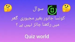 Daily quiz Challenge