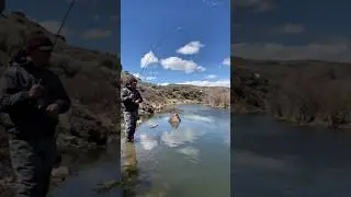 Tips For Landing Fish From Shore