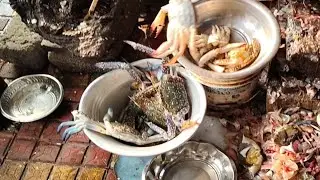 The Most Impressive Crab Cutting Skills I've Ever Seen