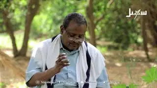 شم الأنوف 2 | حسن عصيبة