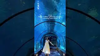 🪼Fun Things to do in Galveston/Houston One of the coolest parts of in is this massive aquarium