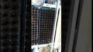 Pneumatic Needle Aspiration Precision Seeding Machine
