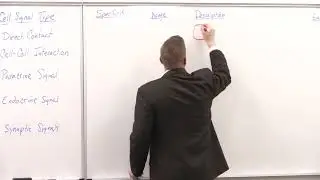 Bio180 Cell Signaling