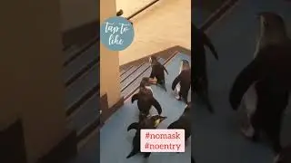 #nomask #noentry #nomasknoentry 🤣😂