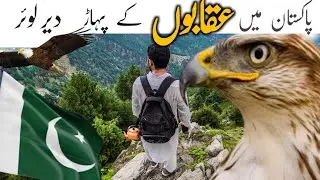 Mayar jandool || Kali Ghwand || Dir