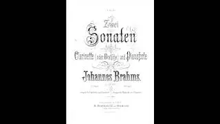 J.  Brahms Viola Sonata op. 120 in E flat major (Darzins, K&uuml;hnl)