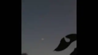a single flower floating on a lake - faraway piano 04242023