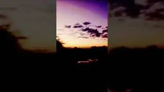 sunset samurai