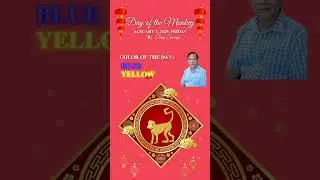 Day of Monkey; Fri, 03 Jan. 2025; Best colors: blue, yellow; Crystal of the Day: golden ruti
