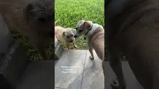 No te rindas! Mira a Benjy dos a&ntilde;os despu&eacute;s!