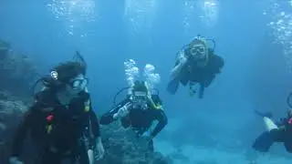 Elizabeth College students on the Great Barrier Reef