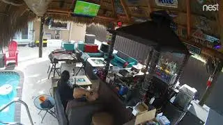 Miami Dolphin vs Patriots Football miracle win best reaction funny screams