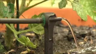 Asta Stake Dripper Guide - Drip Irrigation