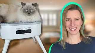 Will My Cat Love This Cozy Heater Bed from HomerunPET?