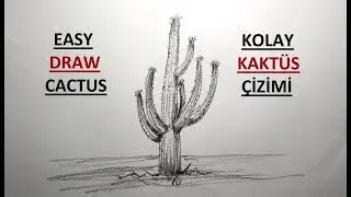 KAKTÜS ÇİZİMİ / KARAKALEM KOLAY KAKTÜS ÇİZİMİ