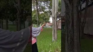 dormitory muka kuning blok B,C sebelum dirobohkan...#shorts #shortsvideo #videoviral