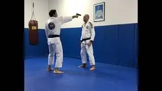Royce Gracie - Demonstra&ccedil;&atilde;o de t&eacute;cnicas de autodefesa #shorts