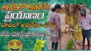 అనుకోకుండా ఊరికి ప్రయాణం || దారిలో అరటిగెల బేరం || రేటు చాలా తక్కువ || busy house wife