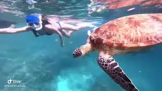 Drunken diver Free diving 18 드렁큰다이버 프리다이빙