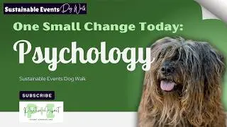 One Small Change Today - BEHAVIORAL PSYCHOLOGY - Sustainable Events Dog Walk - Episode 48