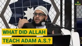 Why Did Allah Create Adam, and What Did He Teach Him? | Sheikh Abdul Wahab Saleem