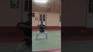 happoken shodan yoseikan budo #music #karate #kata #yoseikan #mma
