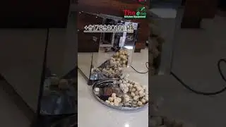 Dough Ball Making Machine ll The One Kitchen Equipment II                 #theonekitchenequipment
