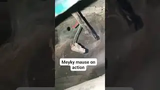 Kabel speed sensor ABS putus ,penyebab lampu abs camry nyala..