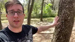 Paranormal Barking (Satire)