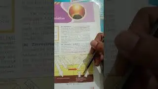 Geography class 9th Ch -Insolation 