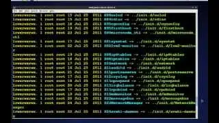 Linux Runlevels II