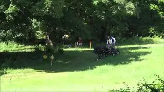 Waldingfield Carriage Driving Trial