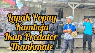 Lapak Tankmate Predator Kamboja