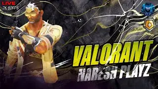 Valorant Chilling Tamil Live Gameplay | Stuck In the Gold Lobby | Naresh Playz Tamil