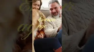Teach Your Dog Rest