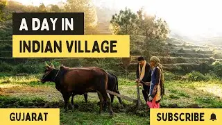 I Lived in a Village for Community Immersion | Here’s What I Learned | Gandhi Fellowship 2025