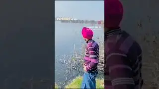 Parindey 🕊️🕊️✨🦢...@BPraakOfficial #trending #love #explore #punjabimusic #reelsinstagram #song