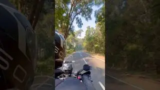 Magical North Bengal | Road Trip Through Green Forests & Open Sky  | Sittong Ahaldara #shorts