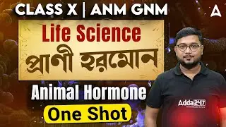 প্রাণী হরমোন | Animal Hormone Class One Shot | Class 10 / ANM GNM Life Science Class 2026