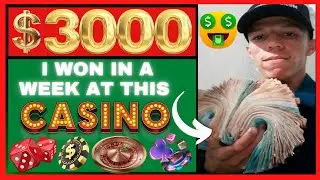 Top Crypto Casinos 2024💰Free Bonuses💸No-Deposit Offer Real Money Rewards💸Online Casino Real Cash