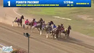SHAUNS SPRINT HARNESS BREEDERS NSW BONUS SCHEME PACE  Harness Racing NSW Missy
