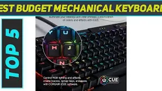 Top 5 Best Budget Mechanical Keyboards 2023