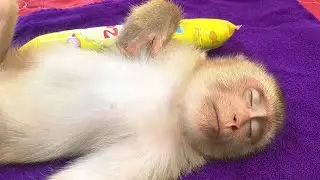 Clever Jason So Adorable Dozed Off With Mom Persuade Eat Snack When Wake Up